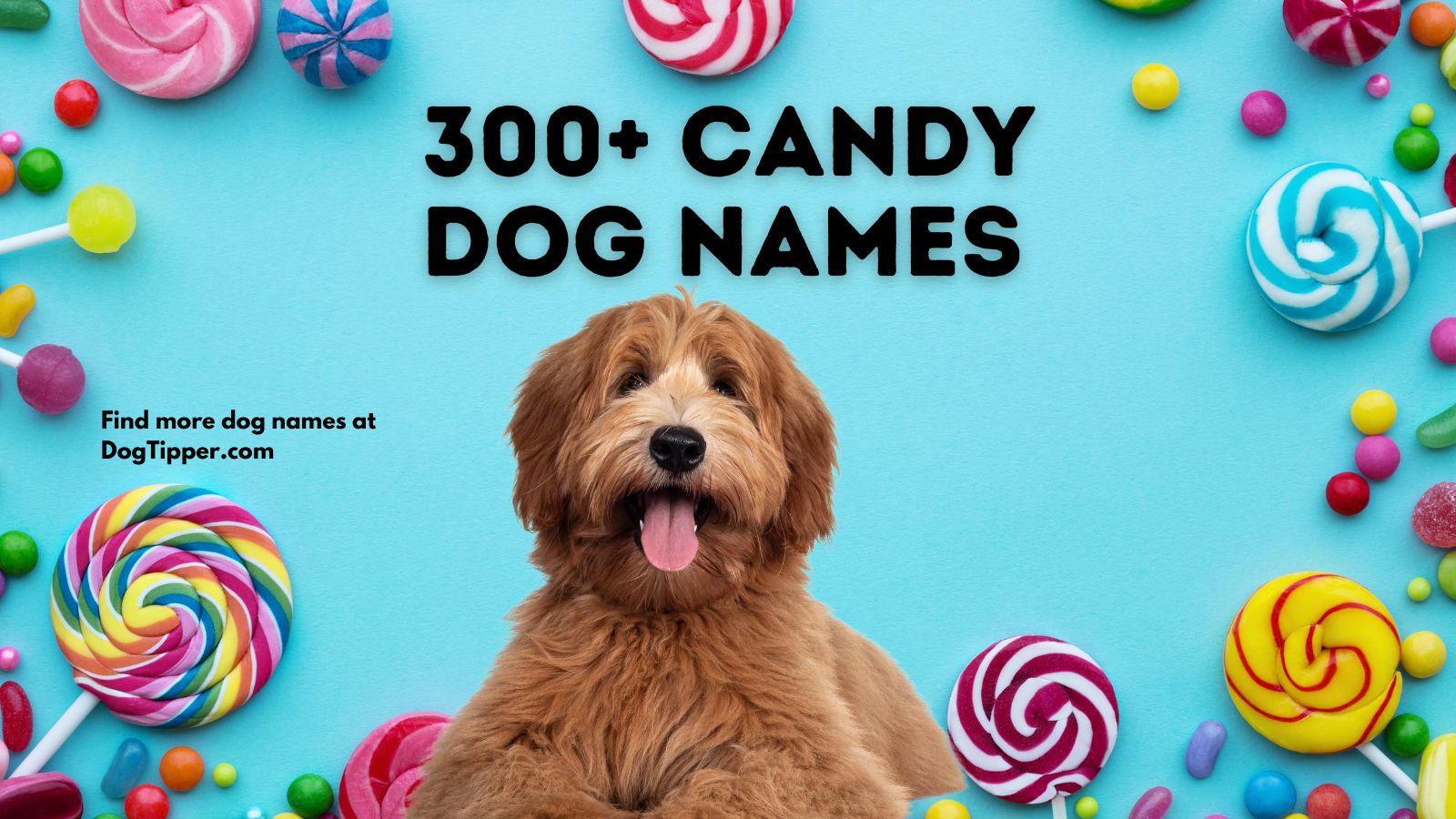 Candy Dog Names Candy Dog Names
