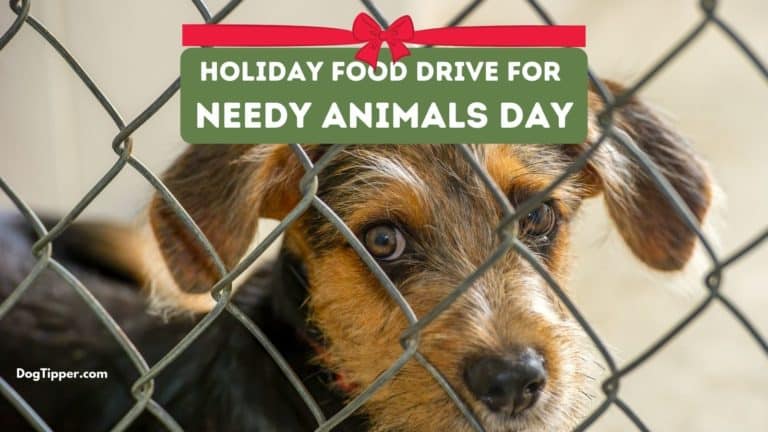 Holiday Food Drive for Needy Animals Day
