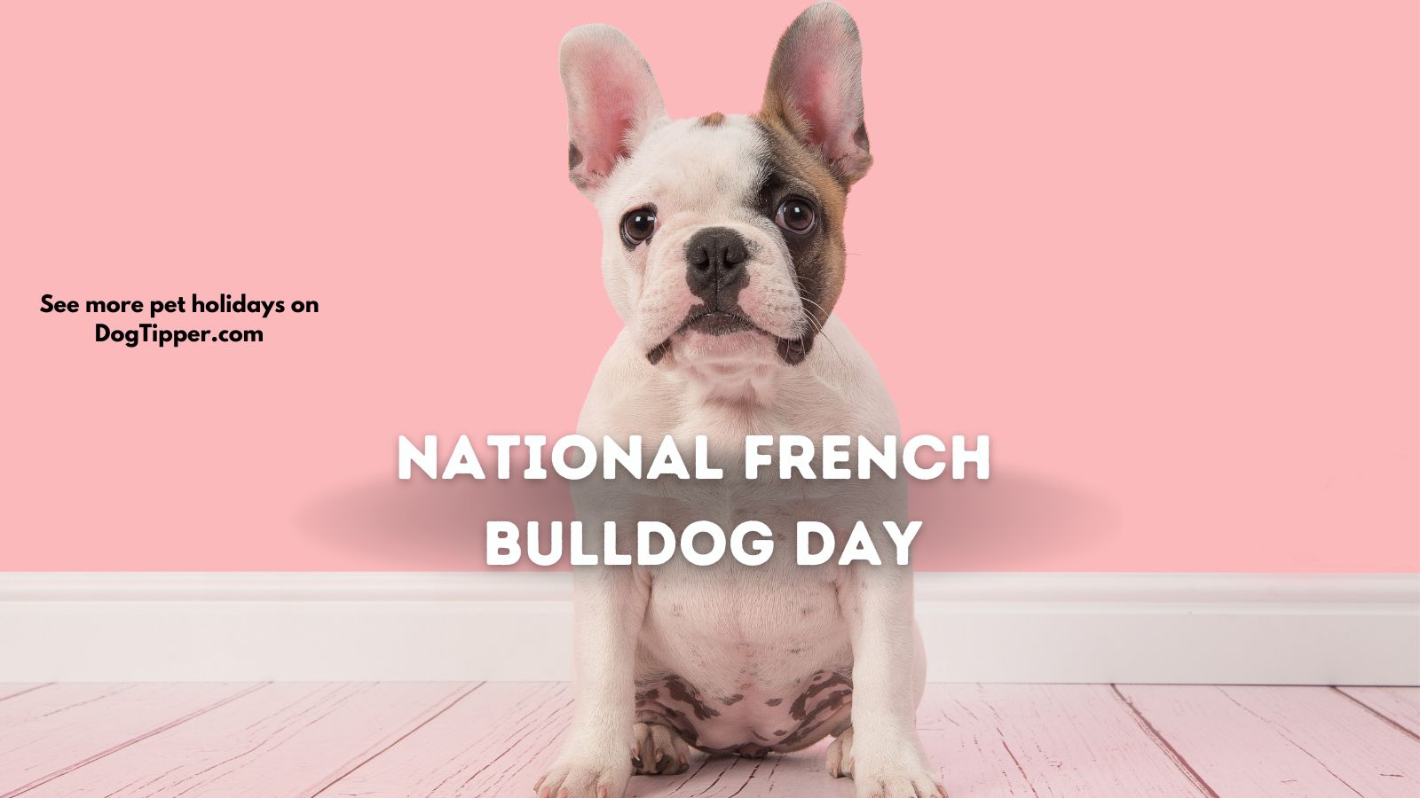 National French Bulldog Day (2023)