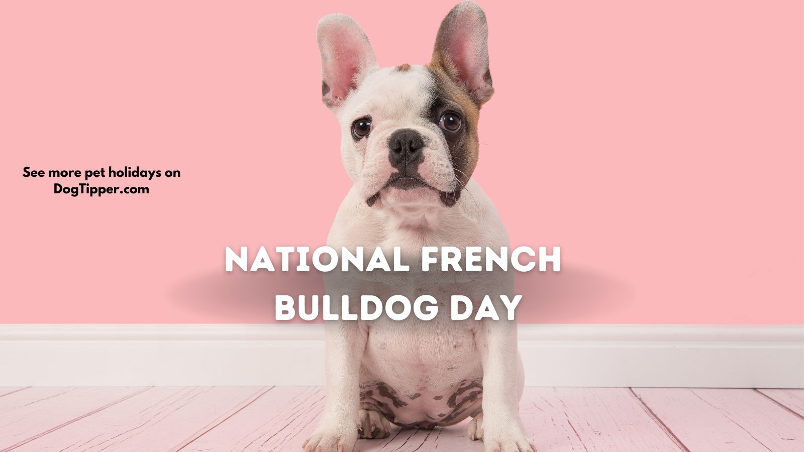 National French Bulldog Day ReportWire