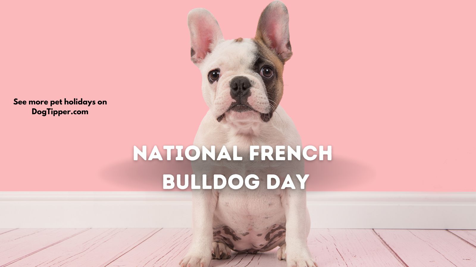 celebrities with french bulldog