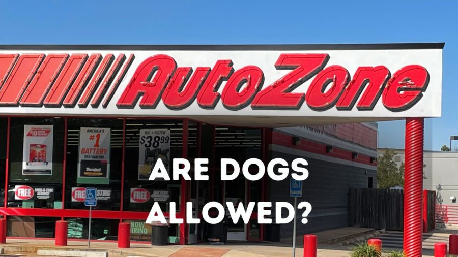 Are dogs allowed in AutoZone?