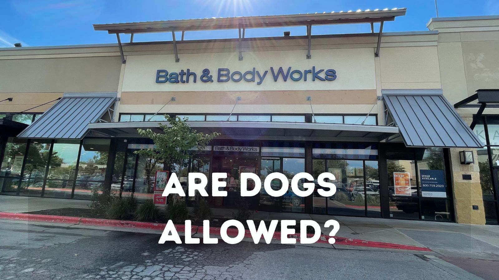 ¿Bath and Body Works admite perros?