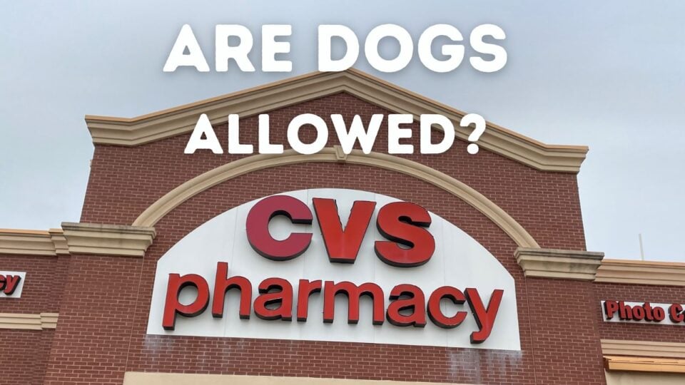 Are Dogs Allowed in CVS?