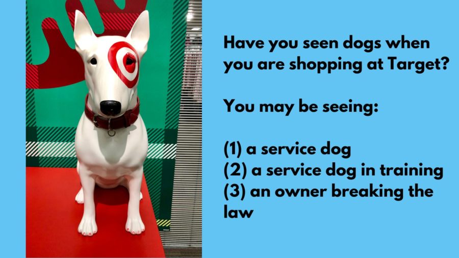 Have you seen dogs when you are shopping at Target?