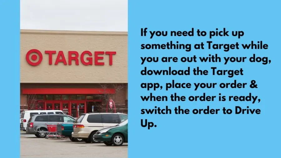 What to do if you need to pick up something at Target while you are out with your dog
