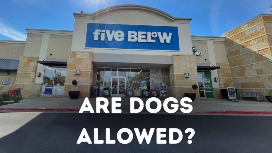 Is Five Below pet friendly?
