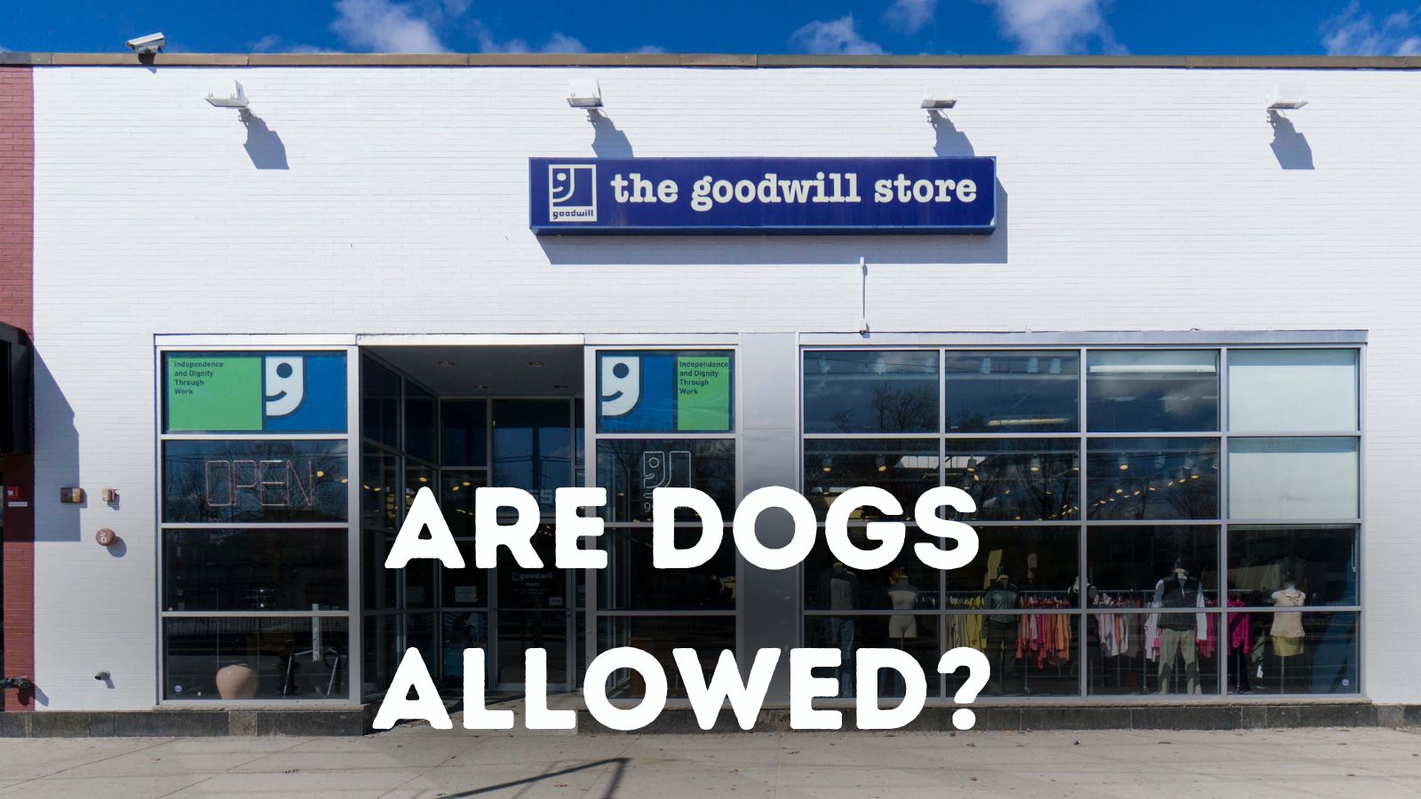 Are Dogs Allowed in Goodwill?