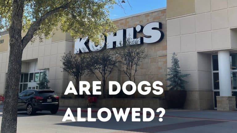 Is Kohl’s Dog Friendly?