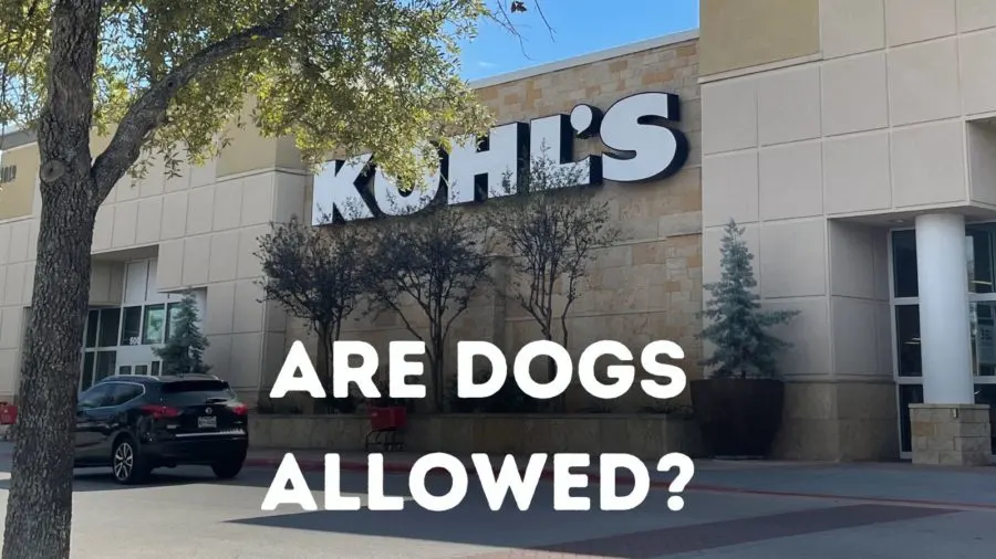 Are dogs allowed at Kohl's?