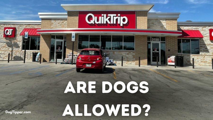 Onko QuikTrip koiraystävällinen?