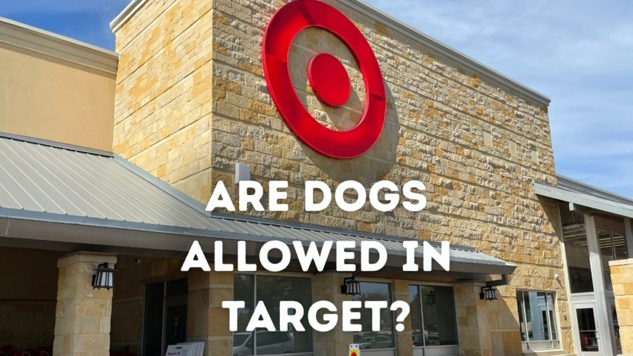 Is the Target dog friendly?