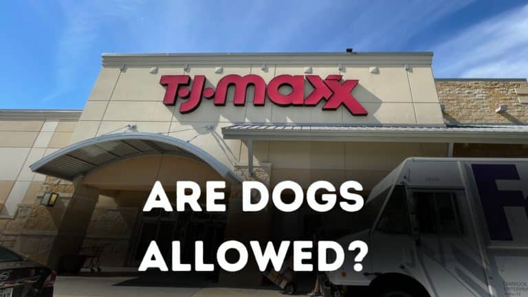 Is T.J. Maxx Dog Friendly?
