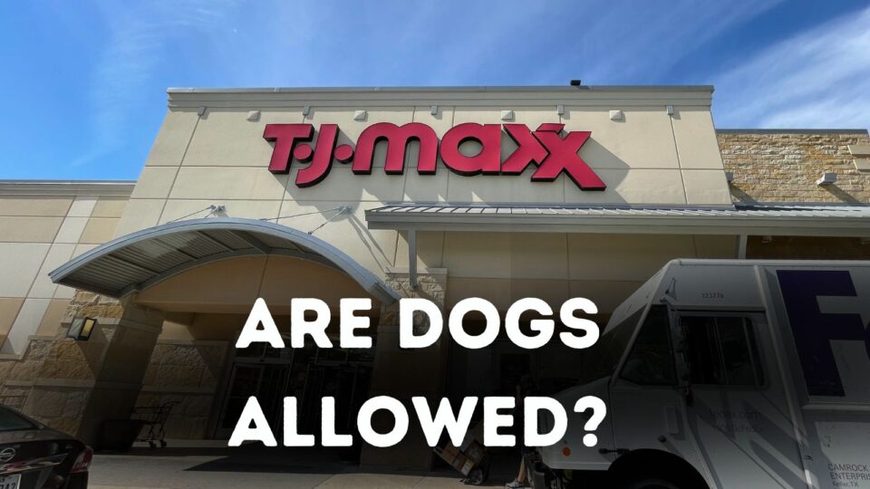 Is T.J. Maxx Dog Friendly?