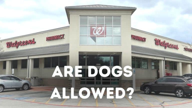 Are Dogs Allowed in Walgreens?
