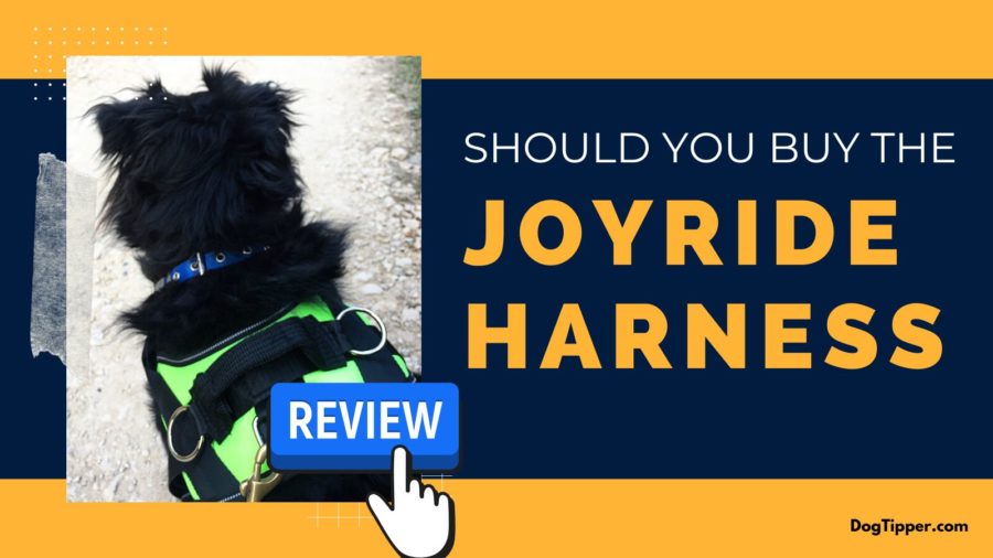 Review of Joyride Harness, formerly Pug Life Dog Harness