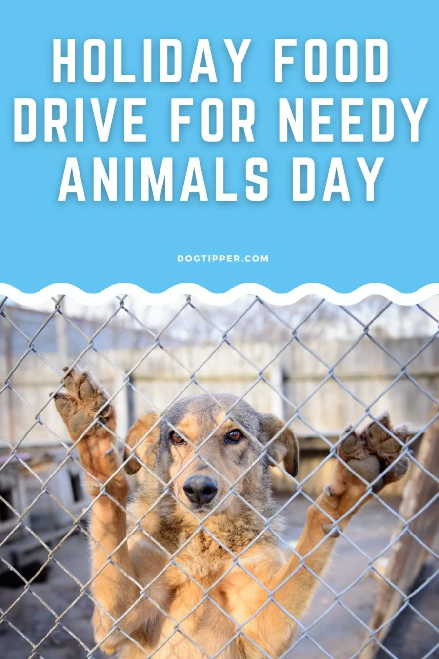 Holiday Food Drive for Needy Animals Day