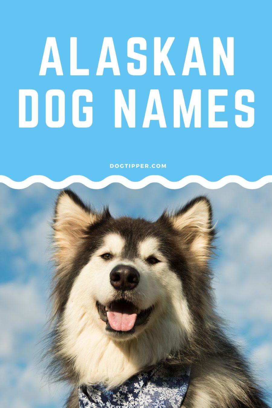 Dog names from Alaska