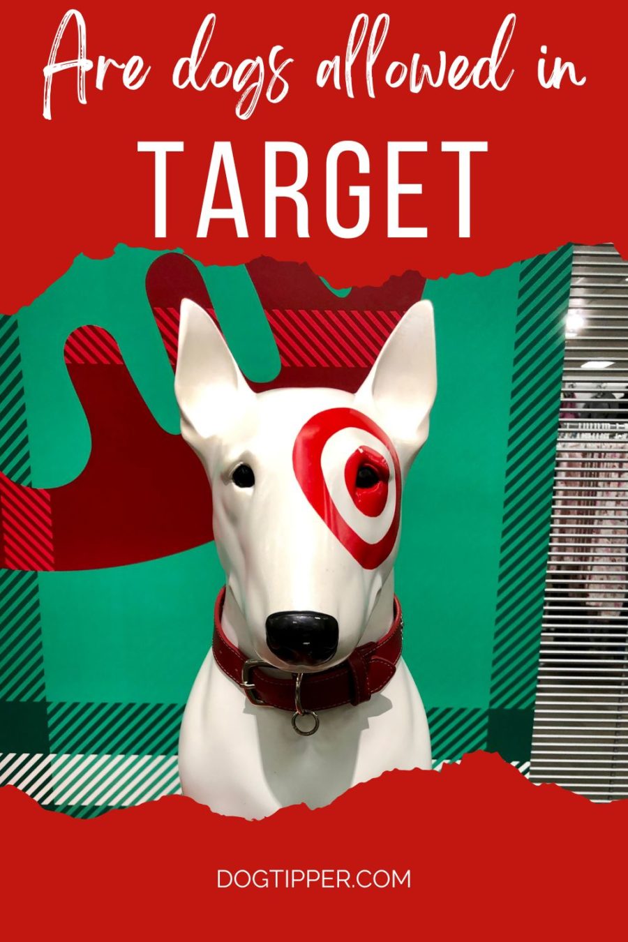 Are Dogs allowed in the Target?