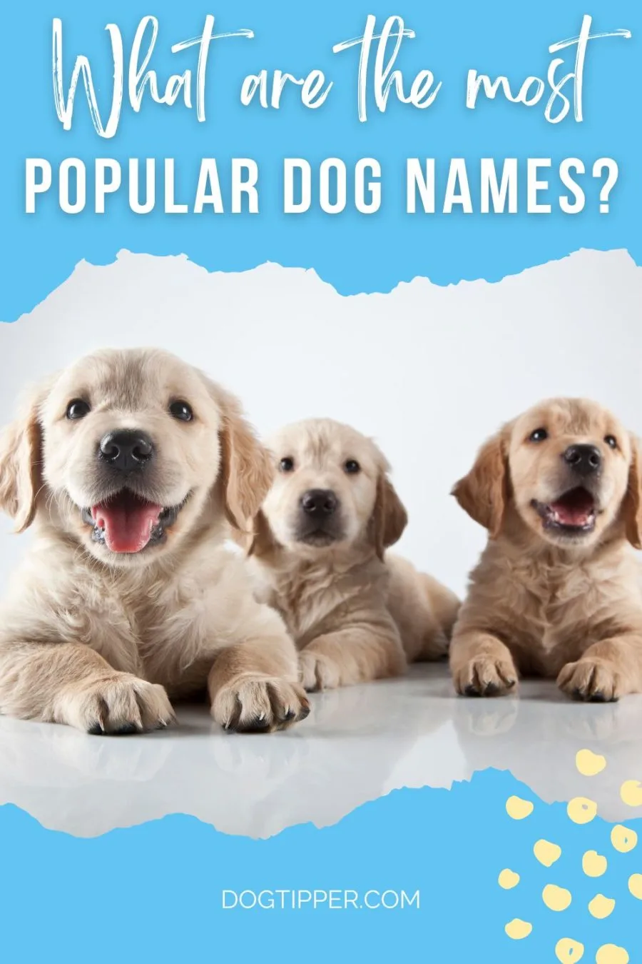 What are the most popular dog names?