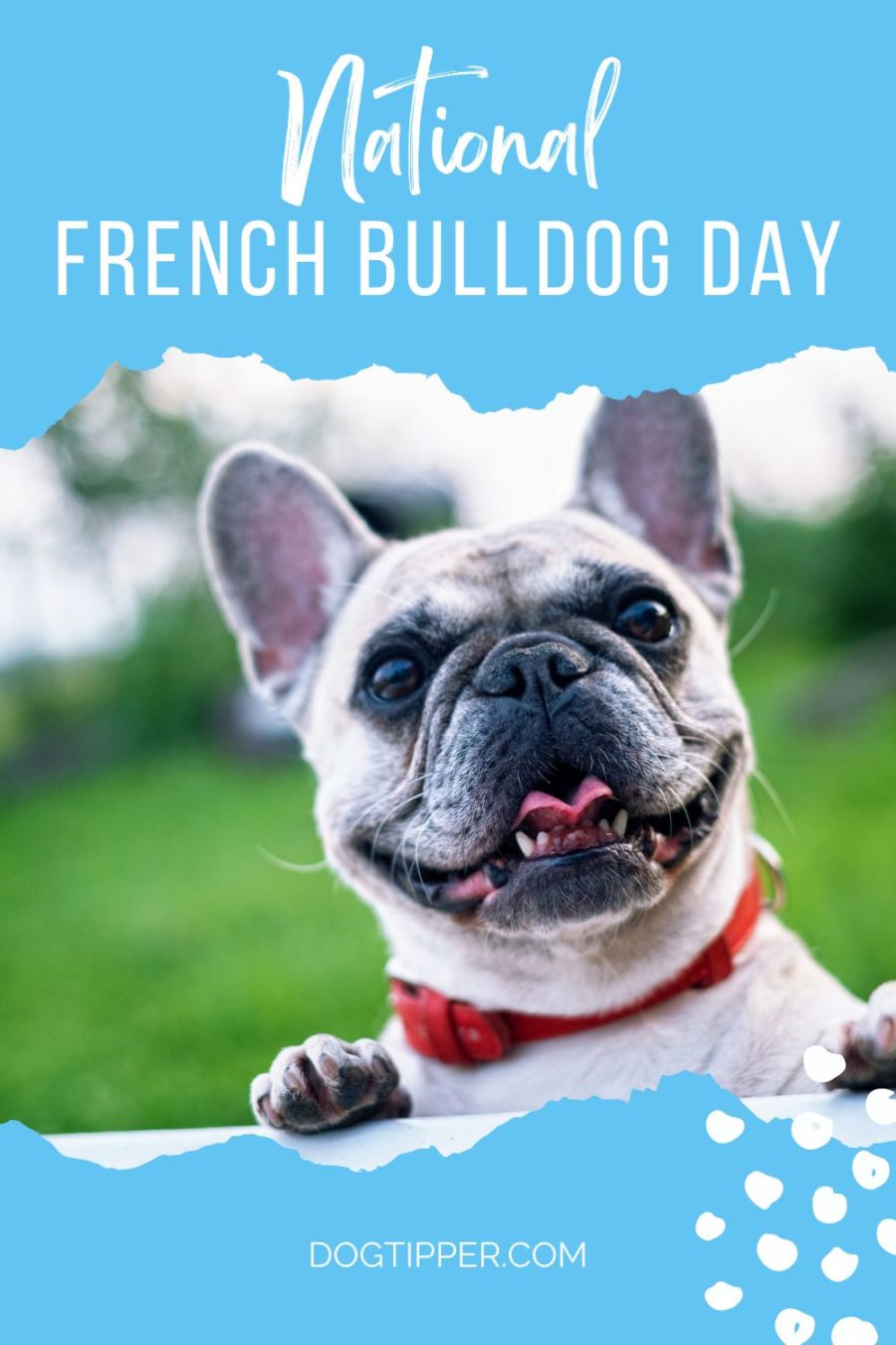 Pambansang French Bulldog Day