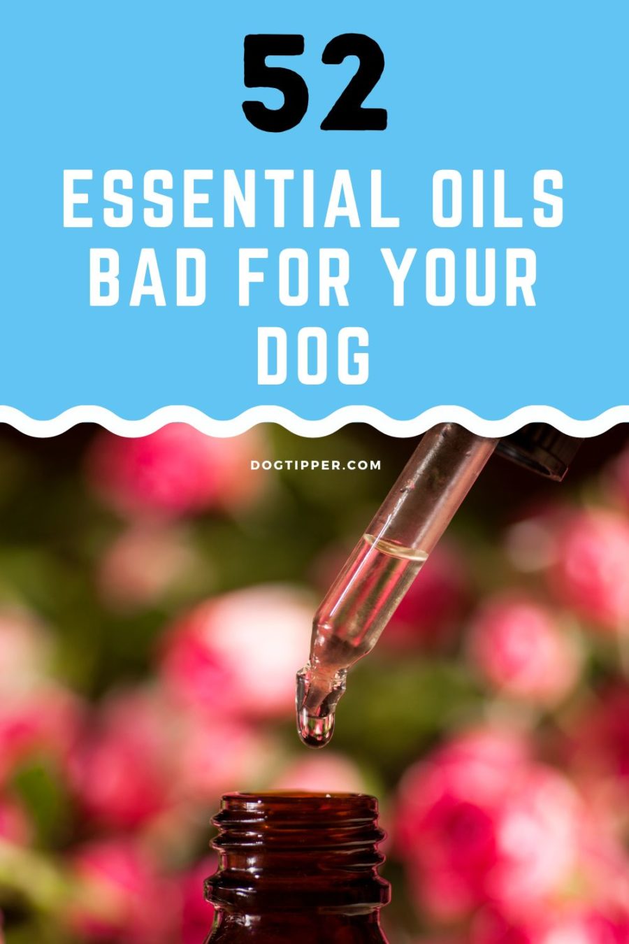 Essential oils are not safe for pets