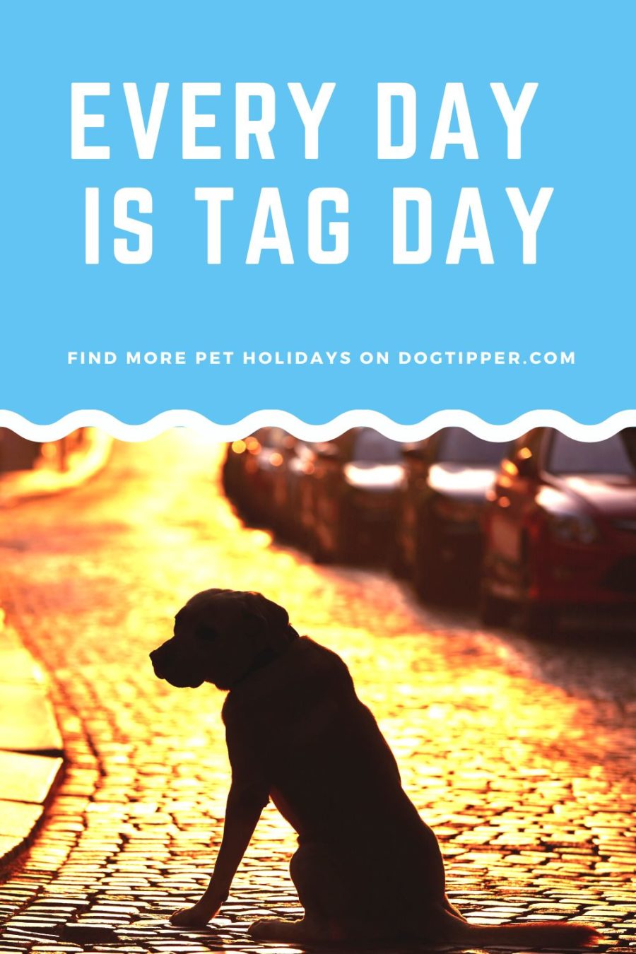 Every Day is Tag Day