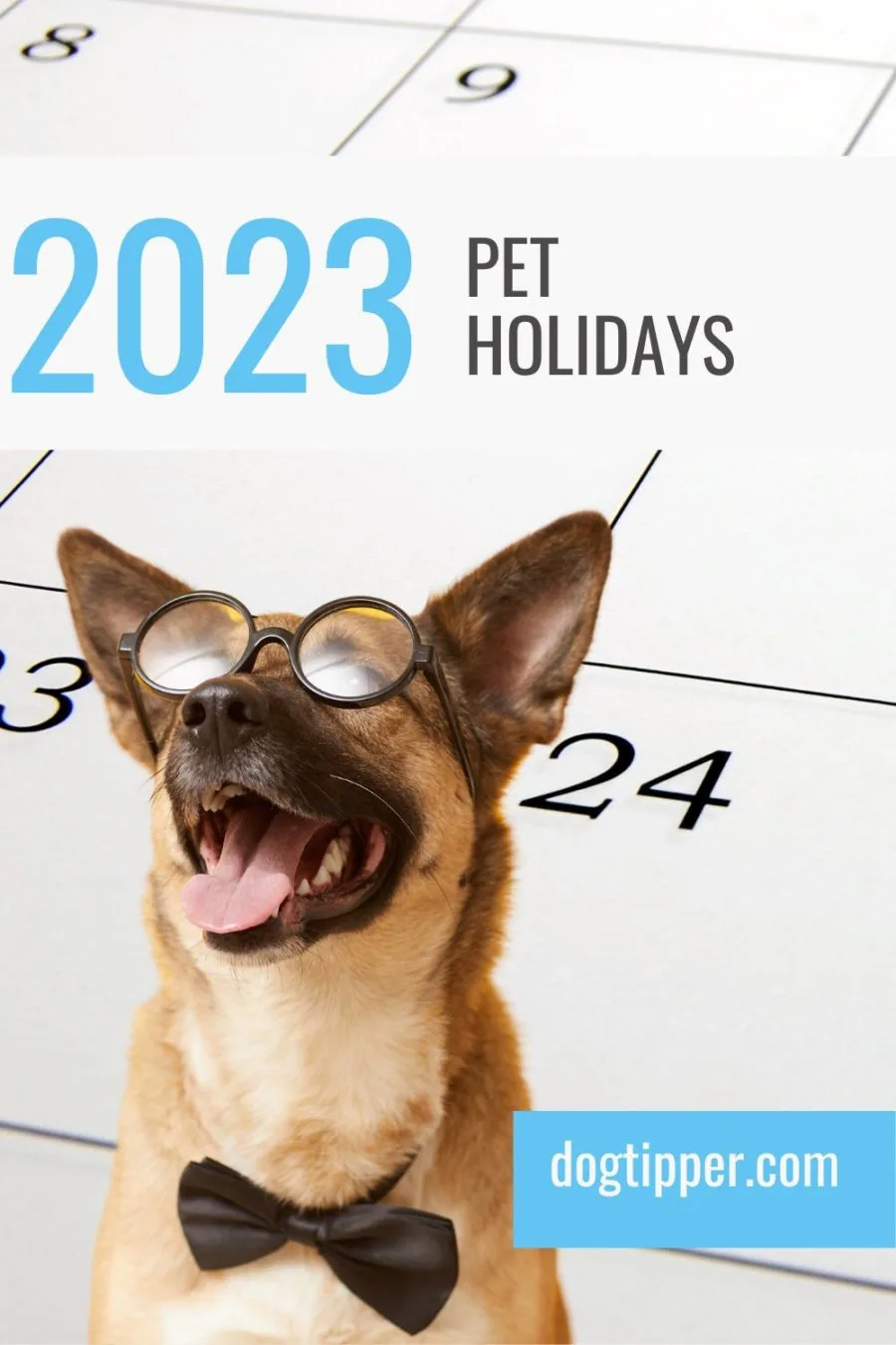 smiling dog wearing glasses with background of calendar; words 2023 pet holidays at top of image