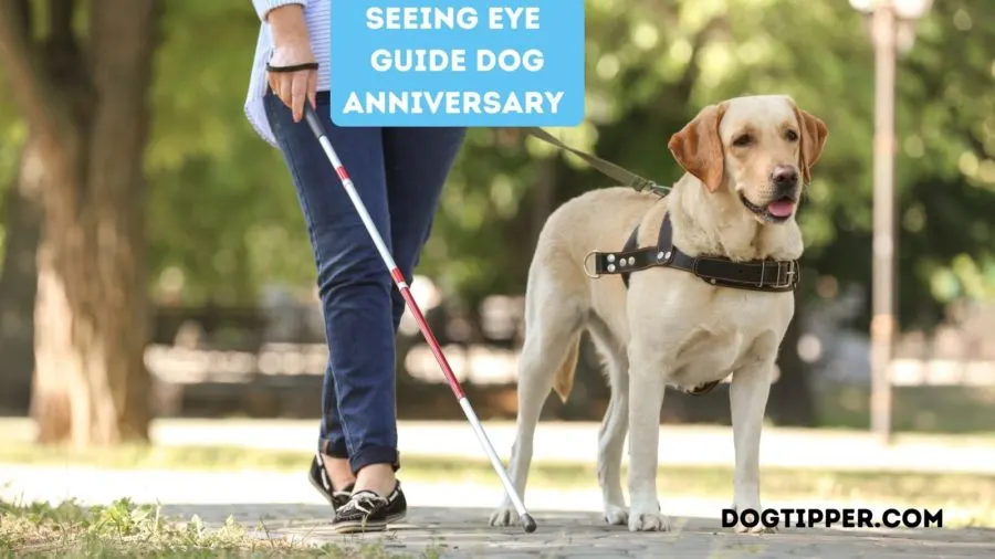 When is Seeing Eye Guide Dog Anniversary?