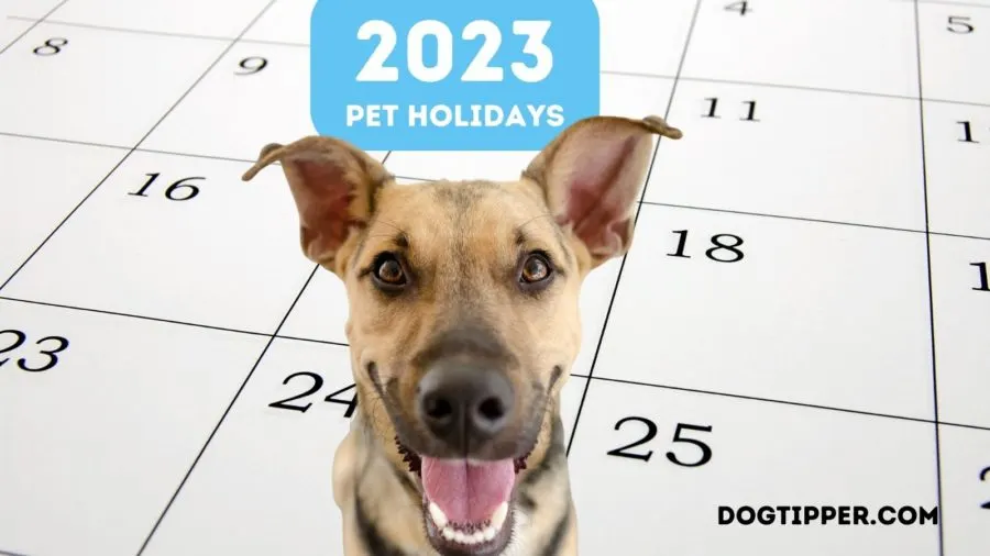 Calendar of 2023 Pet Holidays including dog and cat awareness months, weeks and days as well as fun pet holidays