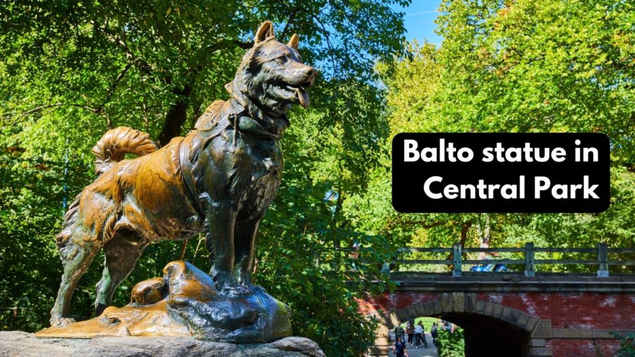 Balto statue in Central Park
