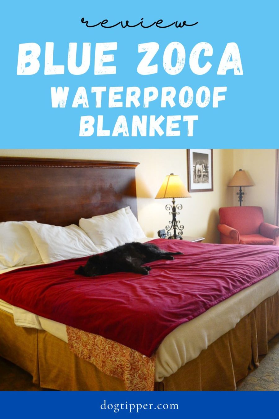 Review: Blue Zoca Waterproof Blanket