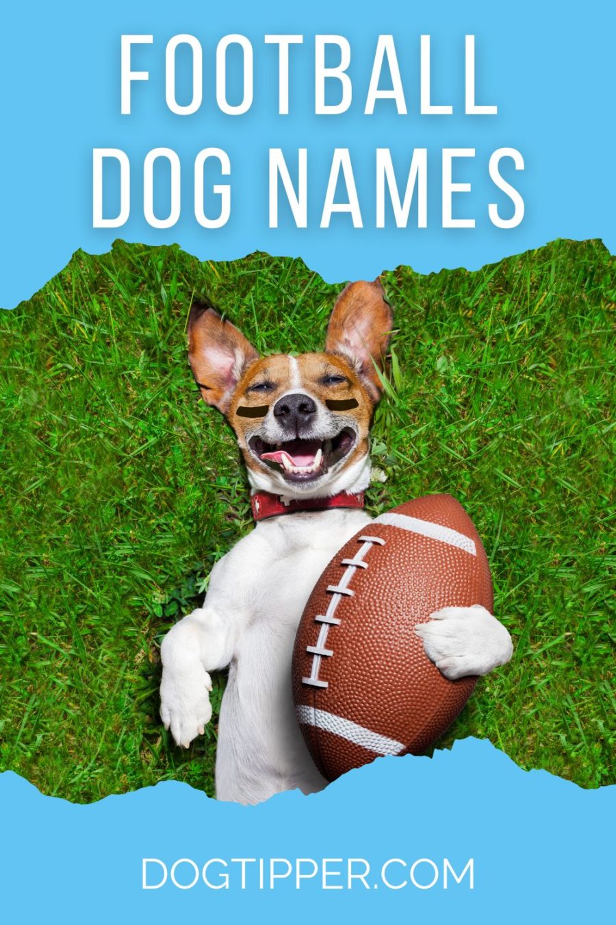 Tên bóng đá cho con chó hoặc con chó con mới của bạn!