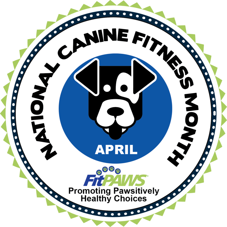 National Dog Fitness Month