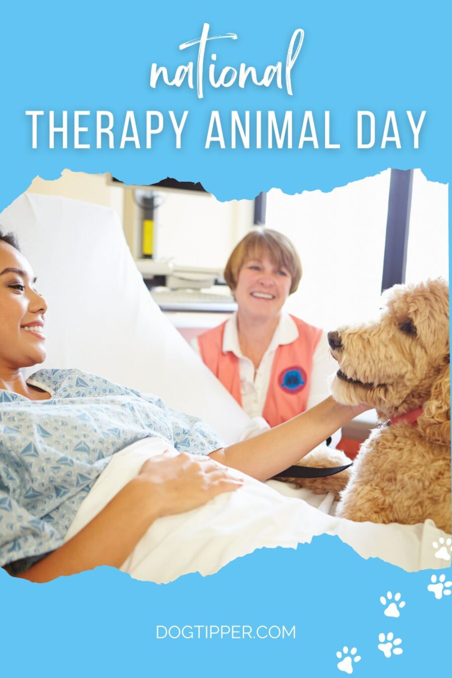 National Therapy Animal Day #dogs #petholidays #therapy dogs #therapy animals