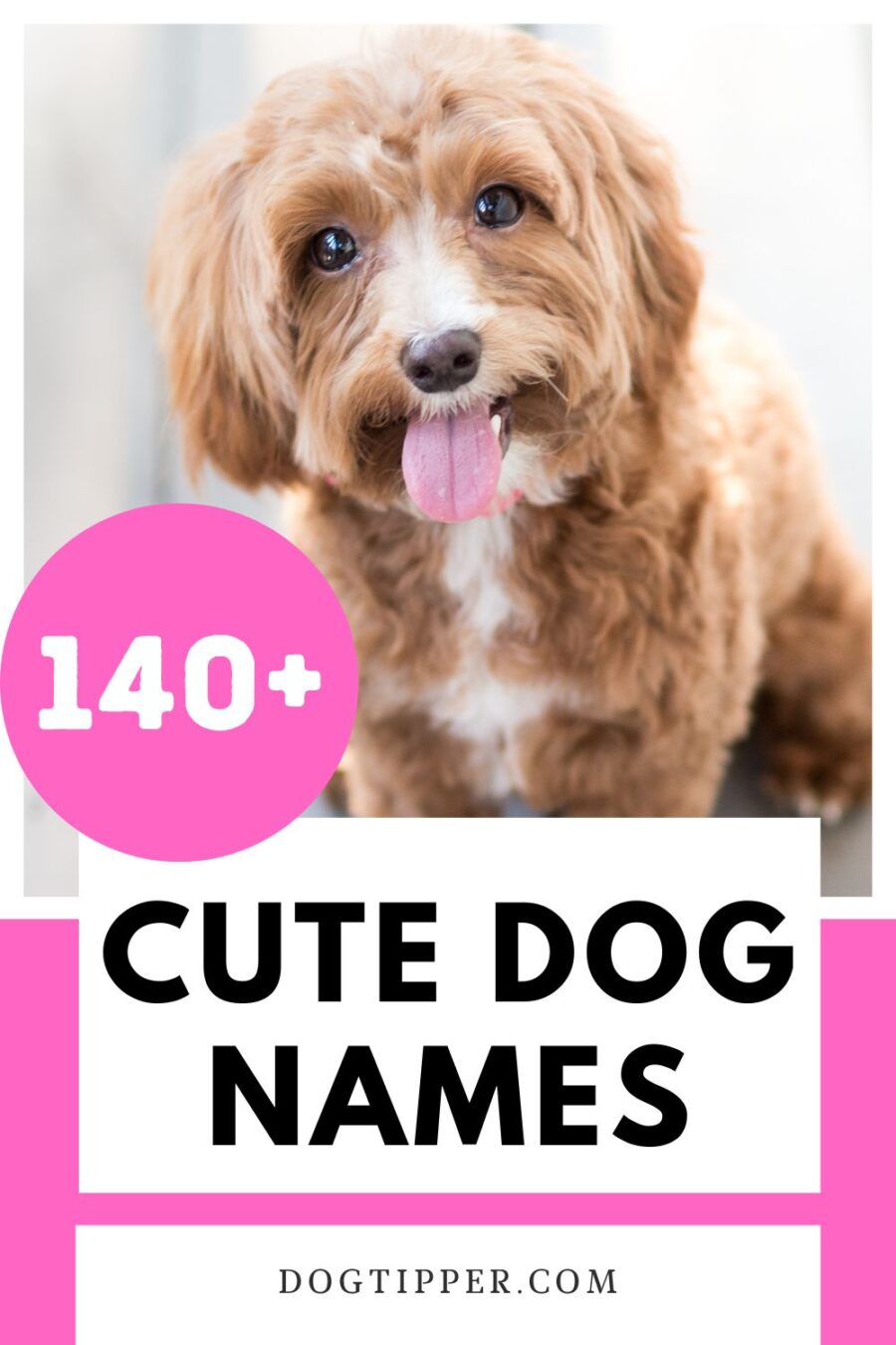 140+ cute names for your new puppy or dog #dogs #dognames