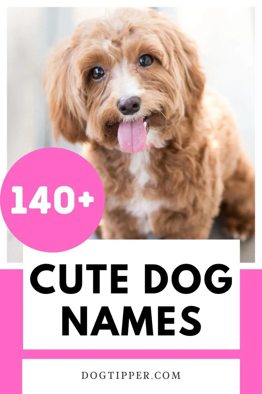140+ cute names for your new puppy or dog #dogs #dognames
