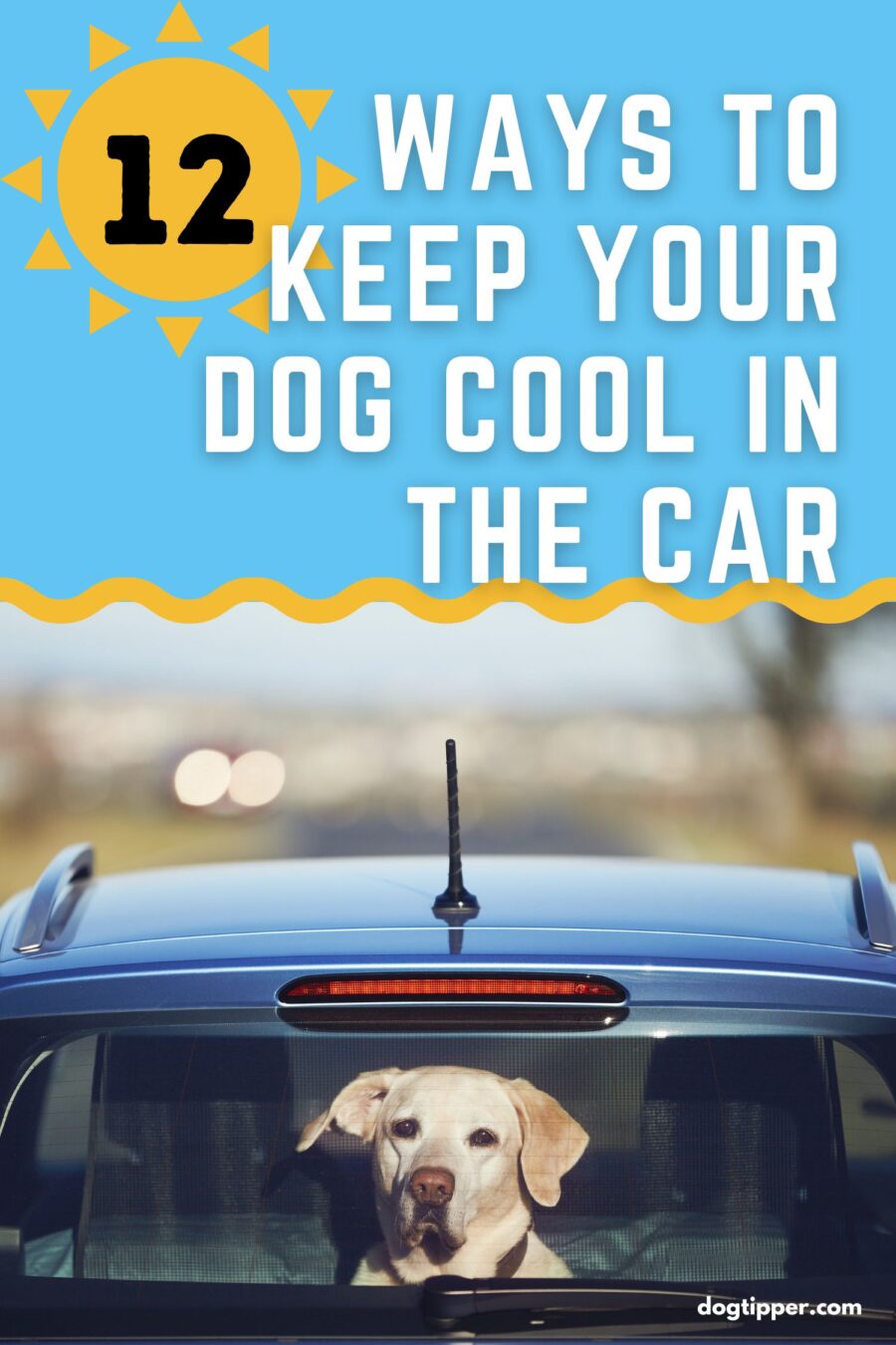 12 Ways to Keep Your Dog Cool in the Car