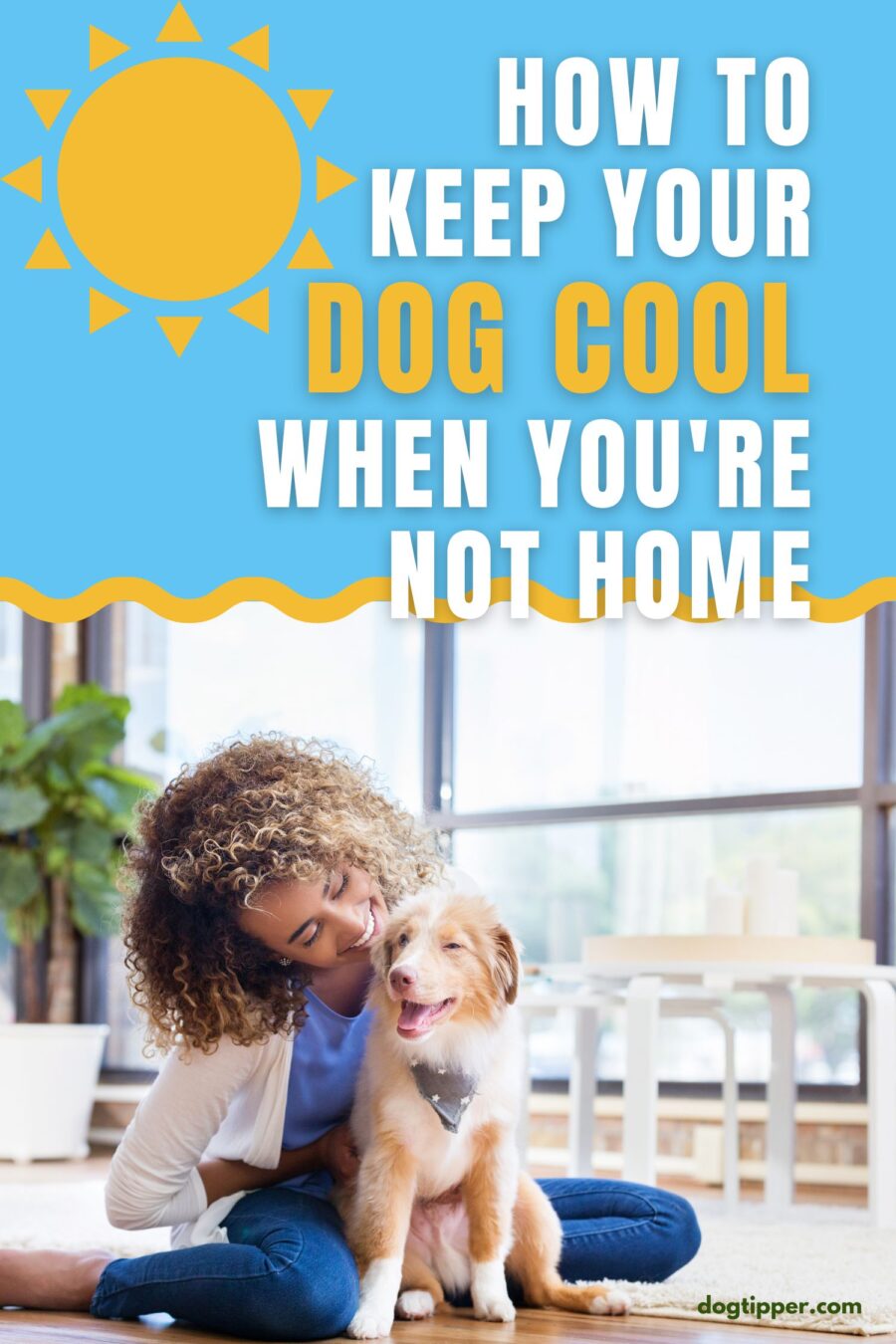 How to Keep Your Dog Cool When You're Not Home