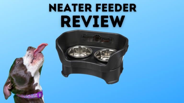 Neater Feeder: Can It Help My Dog’s Sloppy Eating & Drinking?