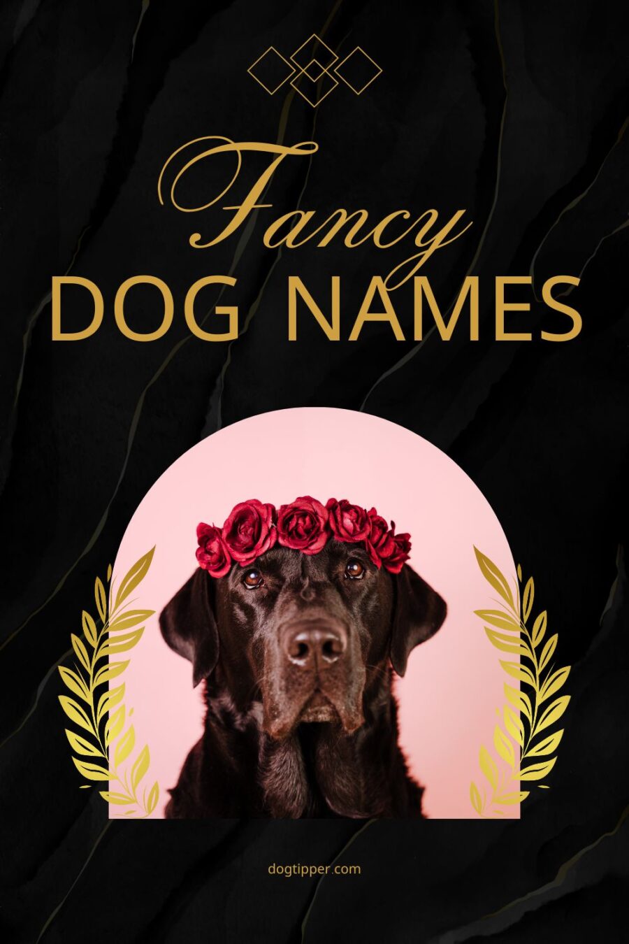 Favorite dog name