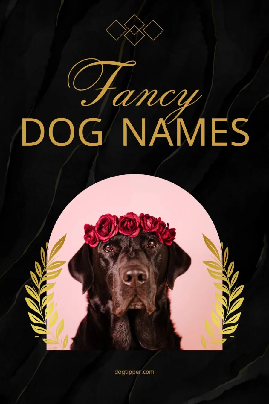 Fancy Dog Names