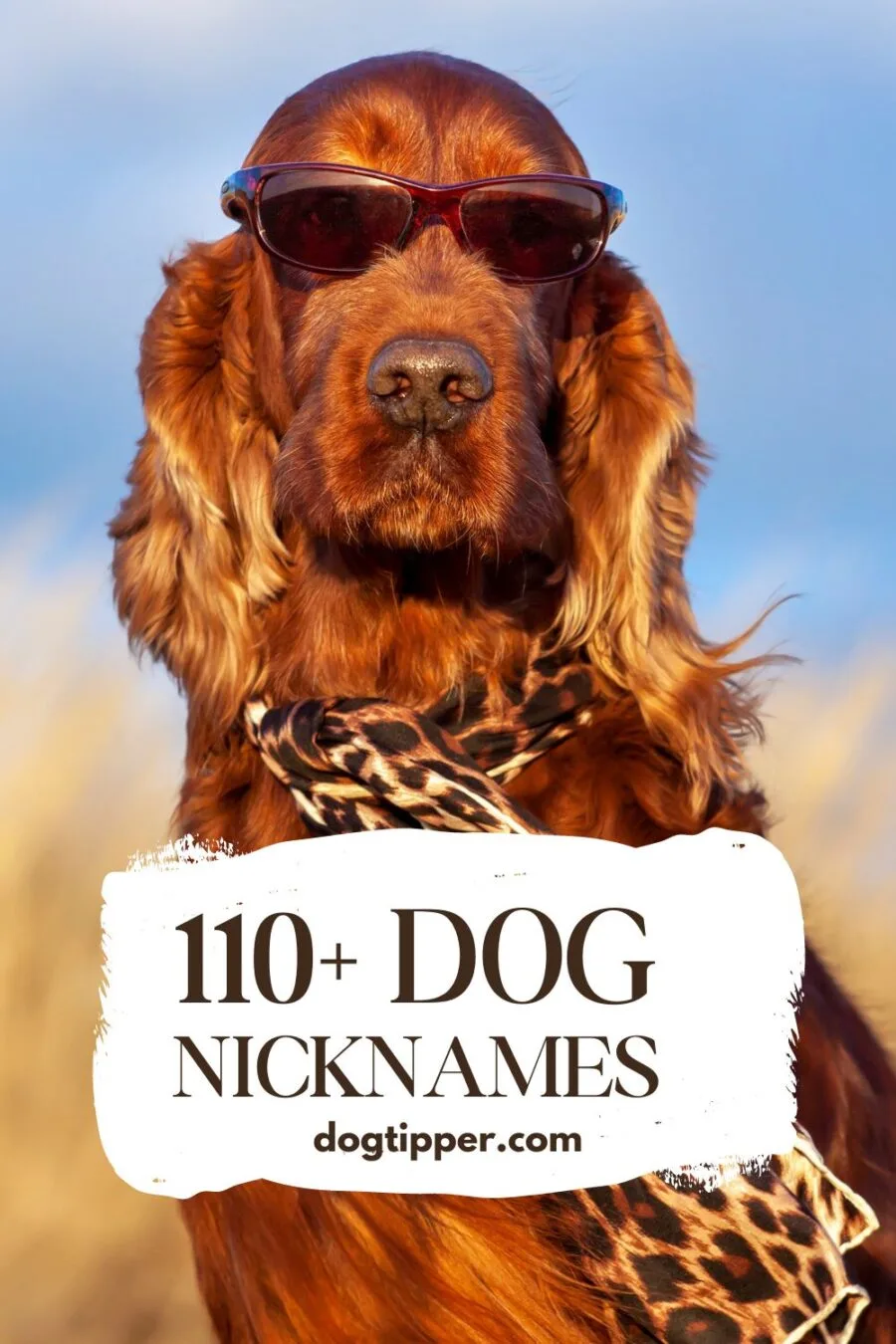 Dog Nicknames pinterest pin