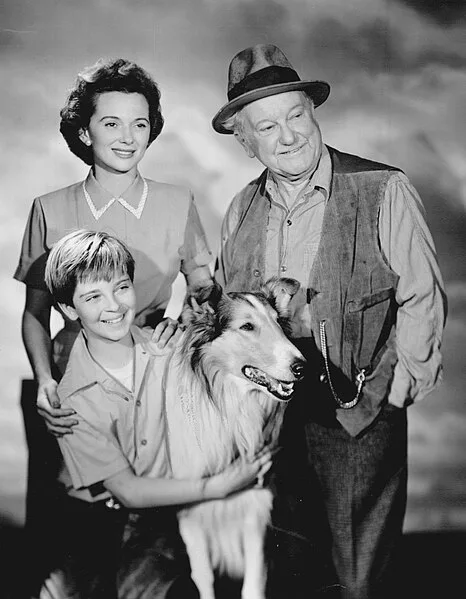 This image has an empty alt attribute; its file name is Lassie_cast_1955.jpg 