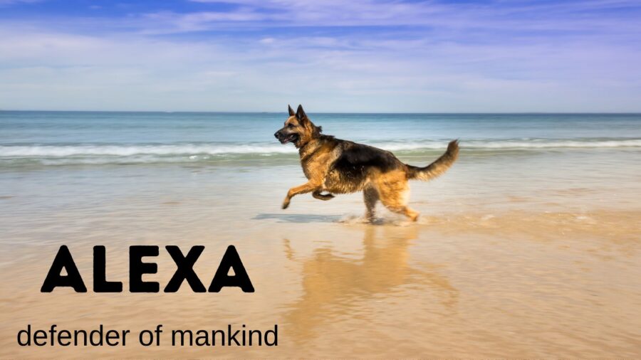 Alexa means defender of mankind