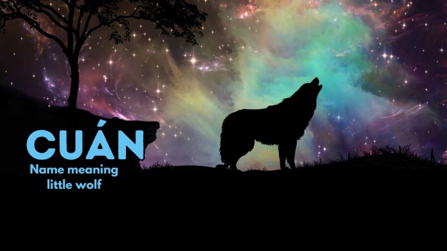 Cuán - Irish/Gaelic origin, meaning "little wolf" or "little hound."