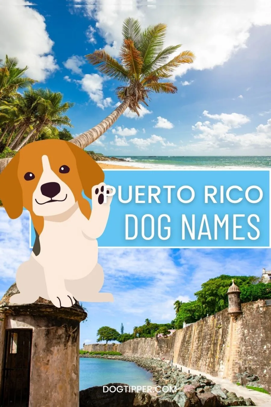 325 Puerto Rican Dog Names for Your Sato! - photos of puerto rico