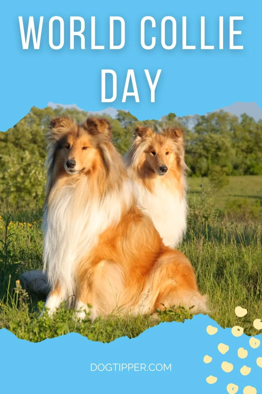 World Collie Day