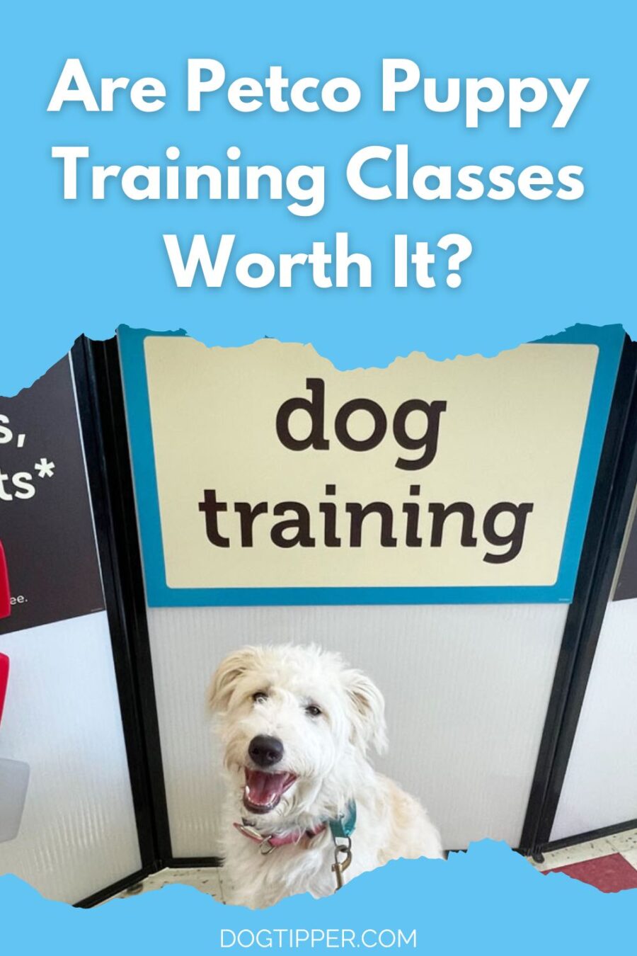 Are Petco Puppy Training Classes Worth It?