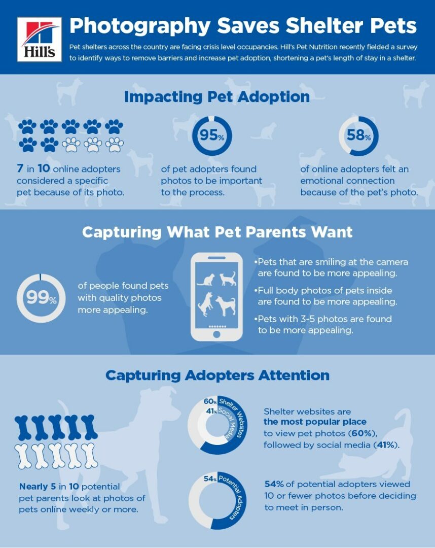 Mark Your Calendar for Clear the Shelters Adoption Drive 2023